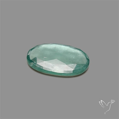 High Grade Green Kyanite Rose Cut Mint Green