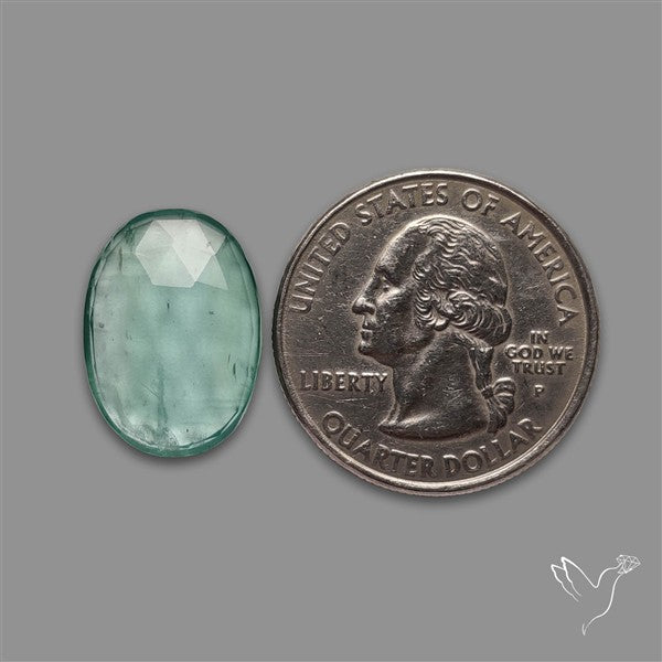 High Grade Green Kyanite Rose Cut Mint Green