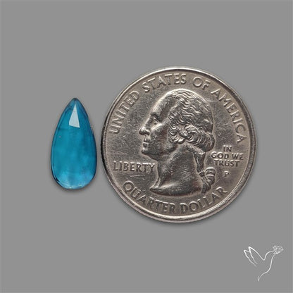 Teal Kyanite Rose Cut High Grade Deep Teal Blue