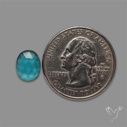 Teal Kyanite Rose Cut High Grade Deep Teal Blue