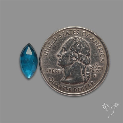 Teal Kyanite Rose Cut High Grade Deep Teal Blue