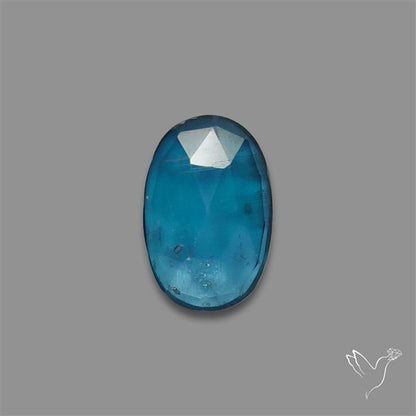 Teal Kyanite Rose Cut High Grade Deep Teal Blue