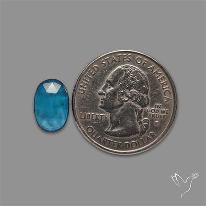 Teal Kyanite Rose Cut High Grade Deep Teal Blue