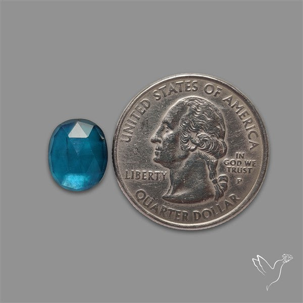 Teal Kyanite Rose Cut High Grade Deep Teal Blue