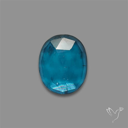 Teal Kyanite Rose Cut High Grade Deep Teal Blue