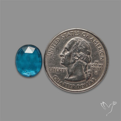Teal Kyanite Rose Cut High Grade Deep Teal Blue