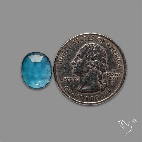 Teal Kyanite Rose Cut High Grade Deep Teal Blue