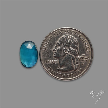 Teal Kyanite Rose Cut High Grade Deep Teal Blue