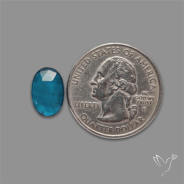 Teal Kyanite Rose Cut High Grade Deep Teal Blue