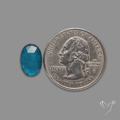 Teal Kyanite Rose Cut High Grade Deep Teal Blue