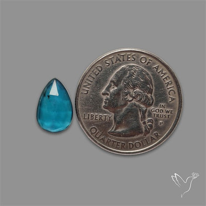 Teal Kyanite Rose Cut High Grade Deep Teal Blue