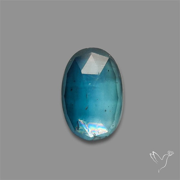 Teal Kyanite Rose Cut High Grade Deep Teal Blue
