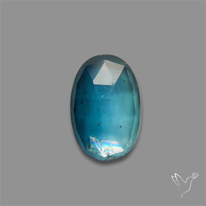 Teal Kyanite Rose Cut High Grade Deep Teal Blue