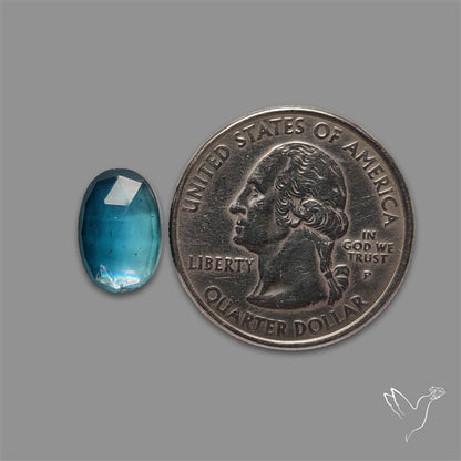 Teal Kyanite Rose Cut High Grade Deep Teal Blue