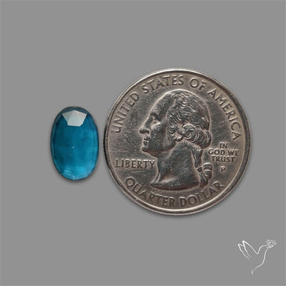 Teal Kyanite Rose Cut High Grade Deep Teal Blue
