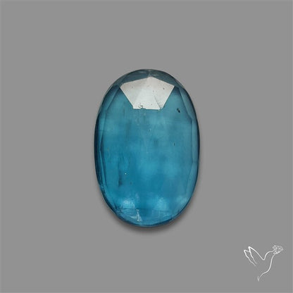 Teal Kyanite Rose Cut High Grade Deep Teal Blue
