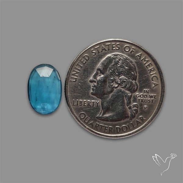 Teal Kyanite Rose Cut High Grade Deep Teal Blue