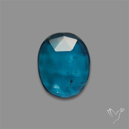 Teal Kyanite Rose Cut High Grade Deep Teal Blue