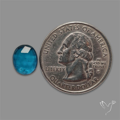 Teal Kyanite Rose Cut High Grade Deep Teal Blue