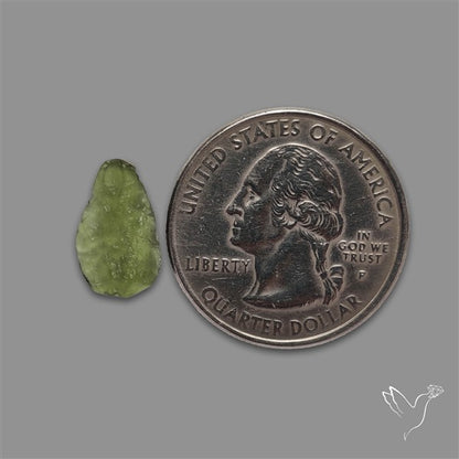 Raw Face Moldavite (Polished Flat Backed)