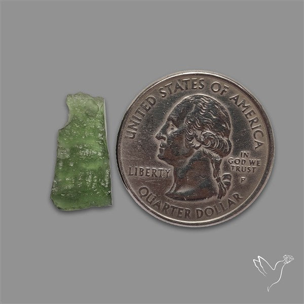 Raw Face Moldavite (Polished Flat Backed)
