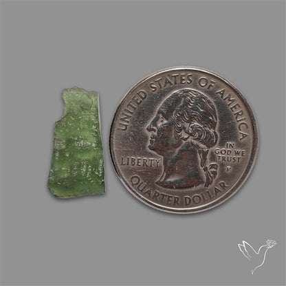Raw Face Moldavite (Polished Flat Backed)