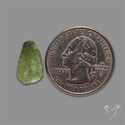 Raw Face Moldavite (Polished Flat Backed)