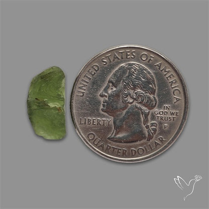 Raw Face Moldavite (Polished Flat Backed)