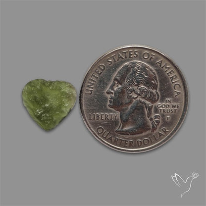 Raw Face Moldavite (Polished Flat Backed)