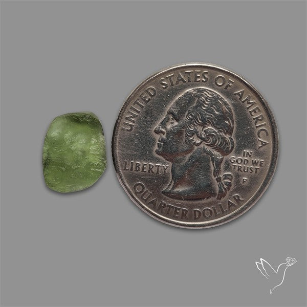 Raw Face Moldavite (Polished Flat Backed)