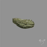 Raw Face Moldavite (Polished Flat Backed)