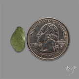 Raw Face Moldavite (Polished Flat Backed)
