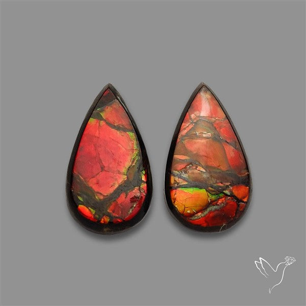 Ammolite Pair