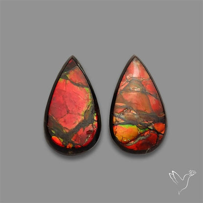 Ammolite Pair