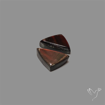Ammolite Pair