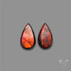 Ammolite Pair