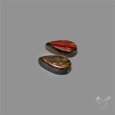 Ammolite Pair