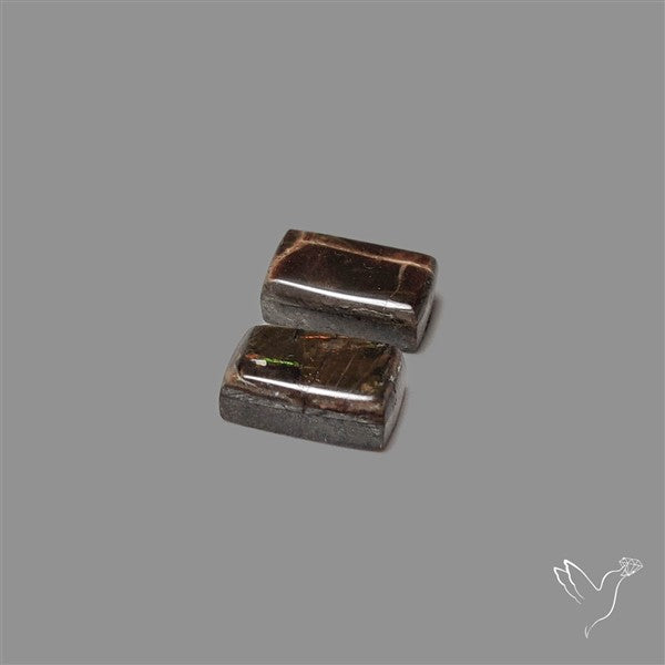 Ammolite Pair