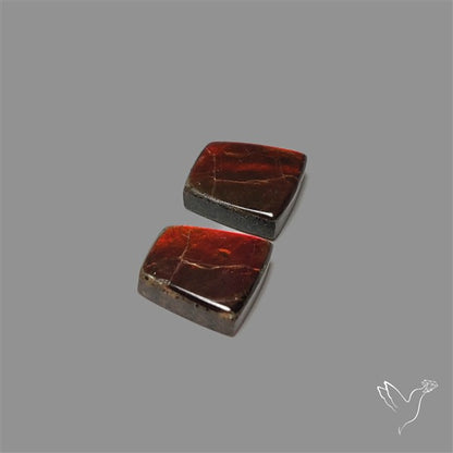 Ammolite Pair