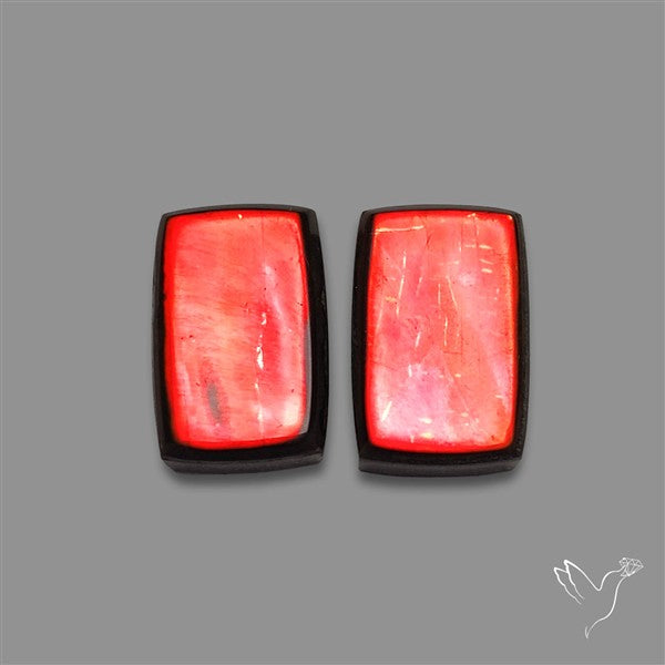 Ammolite Pair