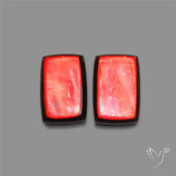 Ammolite Pair