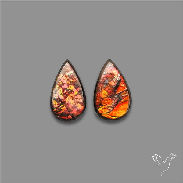 Ammolite Pair