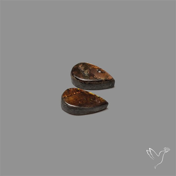 Ammolite Pair