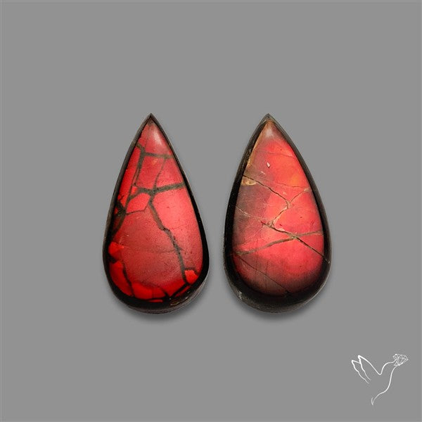 Ammolite Pair