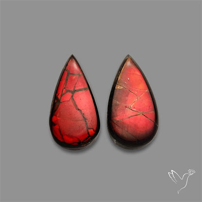Ammolite Pair