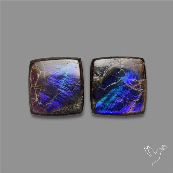 Ammolite Pair Rare Purple