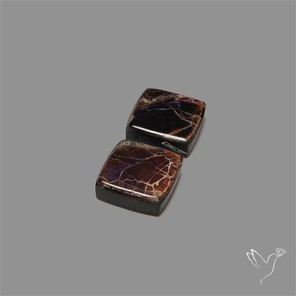 Ammolite Pair Rare Purple