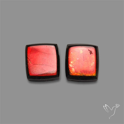 Ammolite Pair