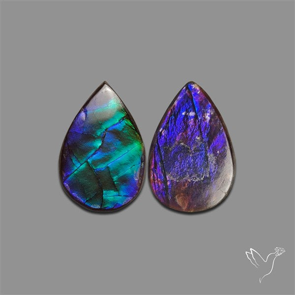 Ammolite Pair Rare Purple