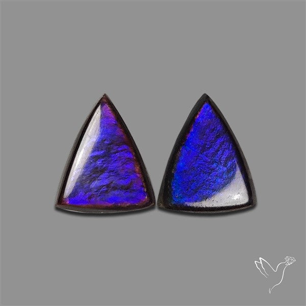 Ammolite Pair Rare Purple
